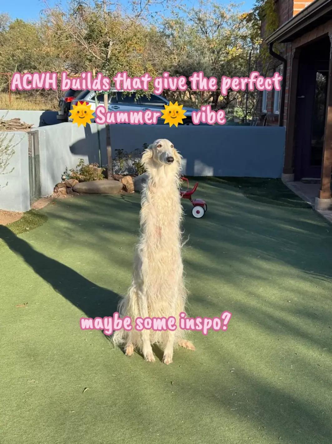 @Roseybitofsunshine