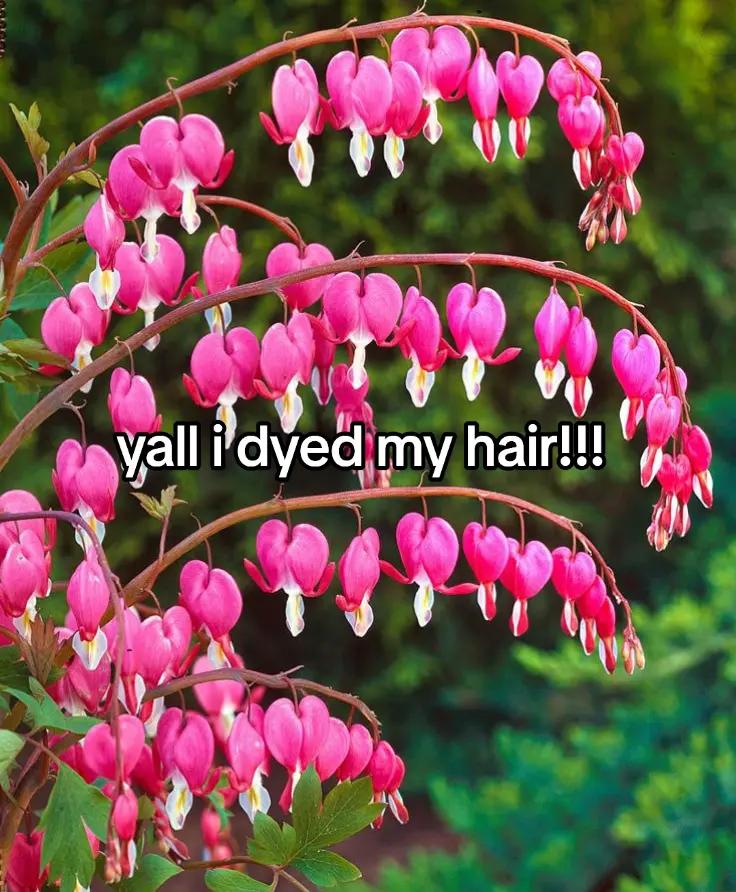 @𝑇𝑖𝑓𝑓𝑎𝑛𝑦
