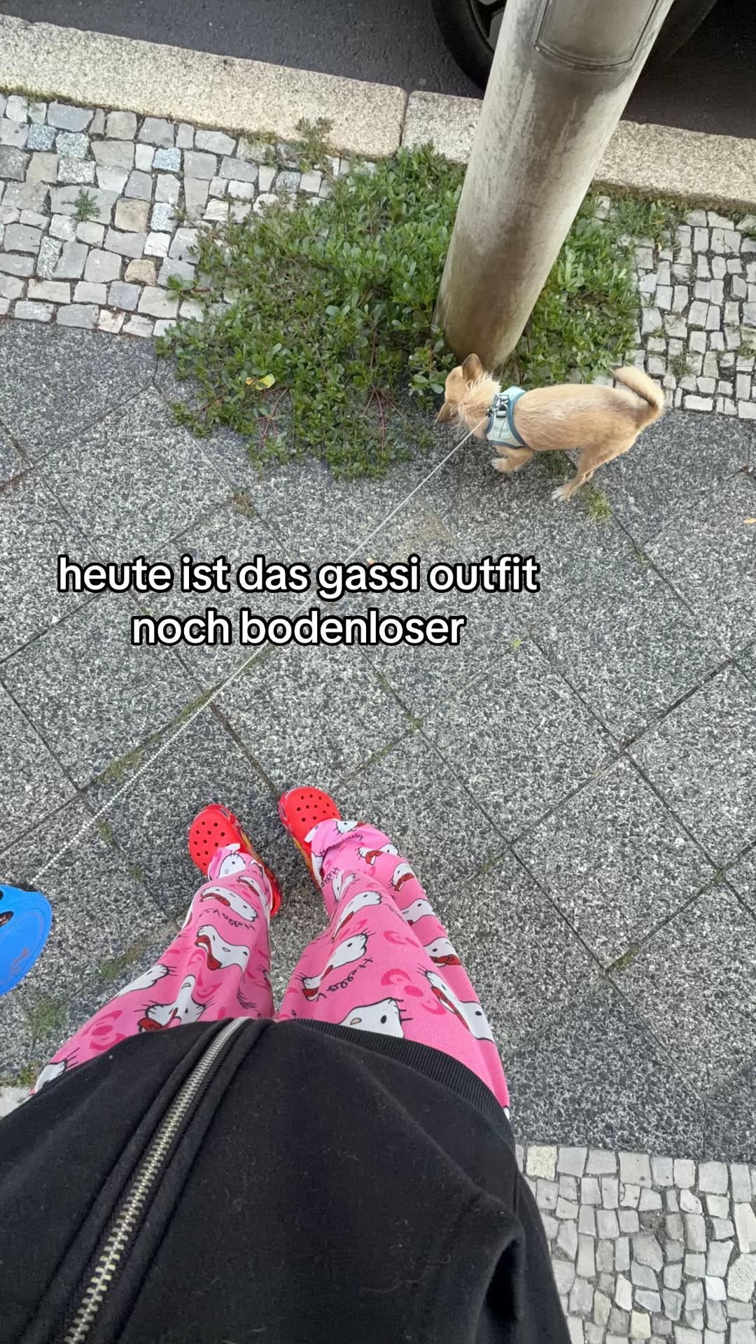 @𝒵𝑜𝓂𝒾