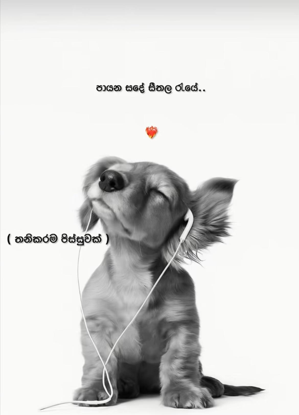 @๋์ฌ๋ผ๐