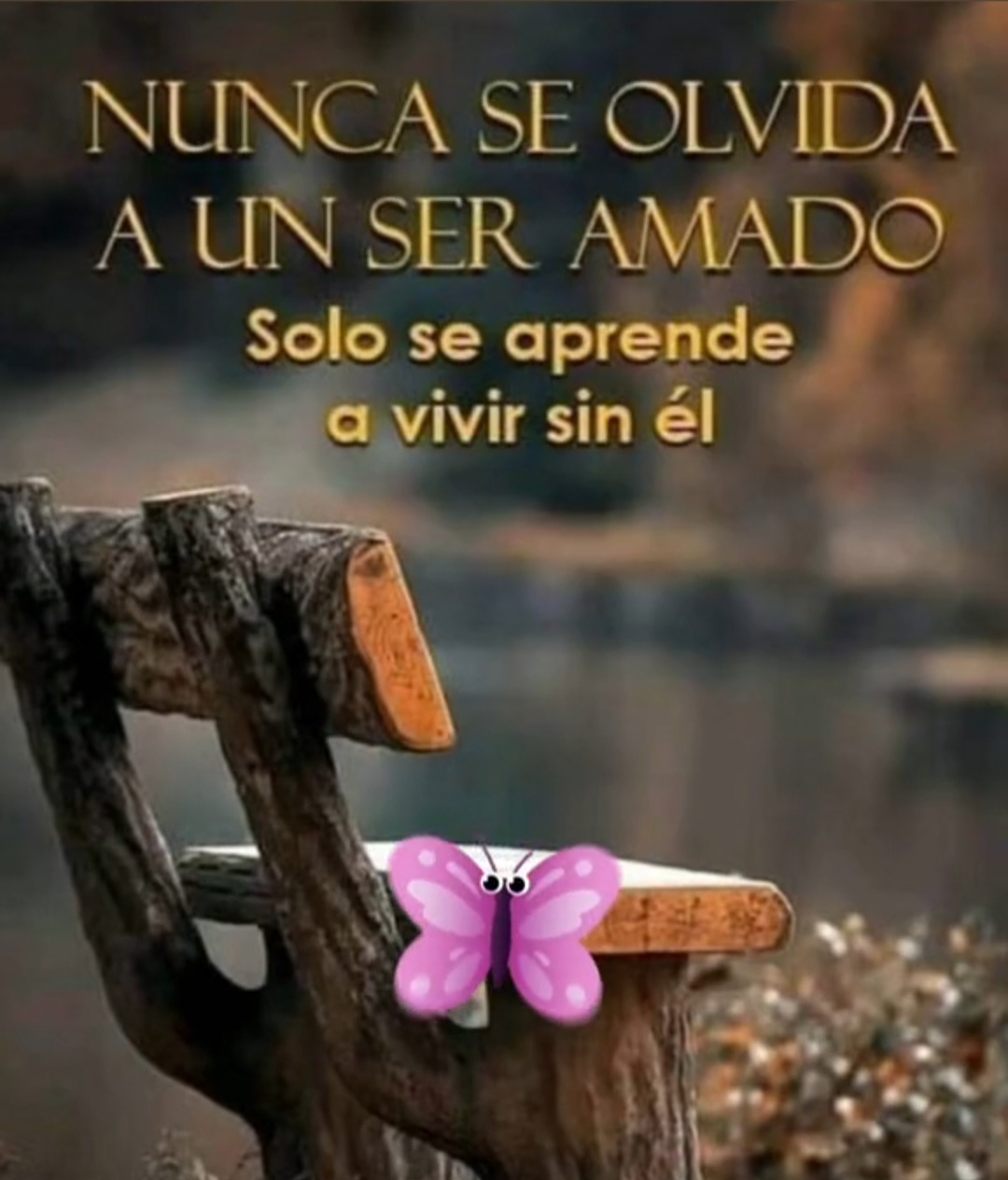 @L&iacute;a Sophia 💝