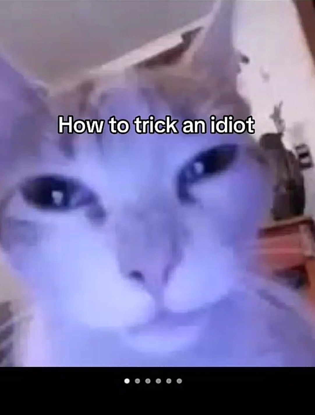 @arshiabcuz