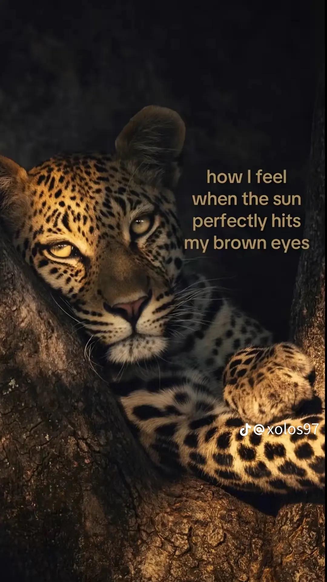 @𝒜𝓁𝒾𝒸𝒾𝒶🏀ྀིྀིྀིྀིྀི