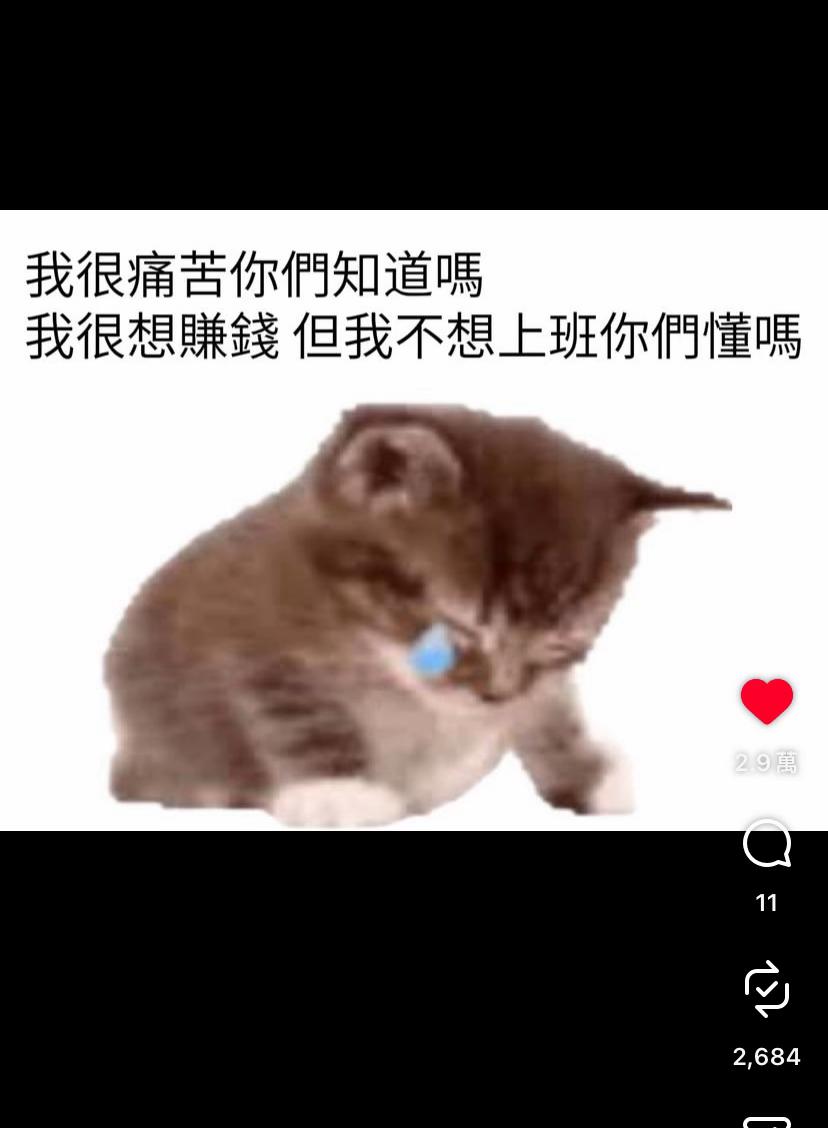 @mimi