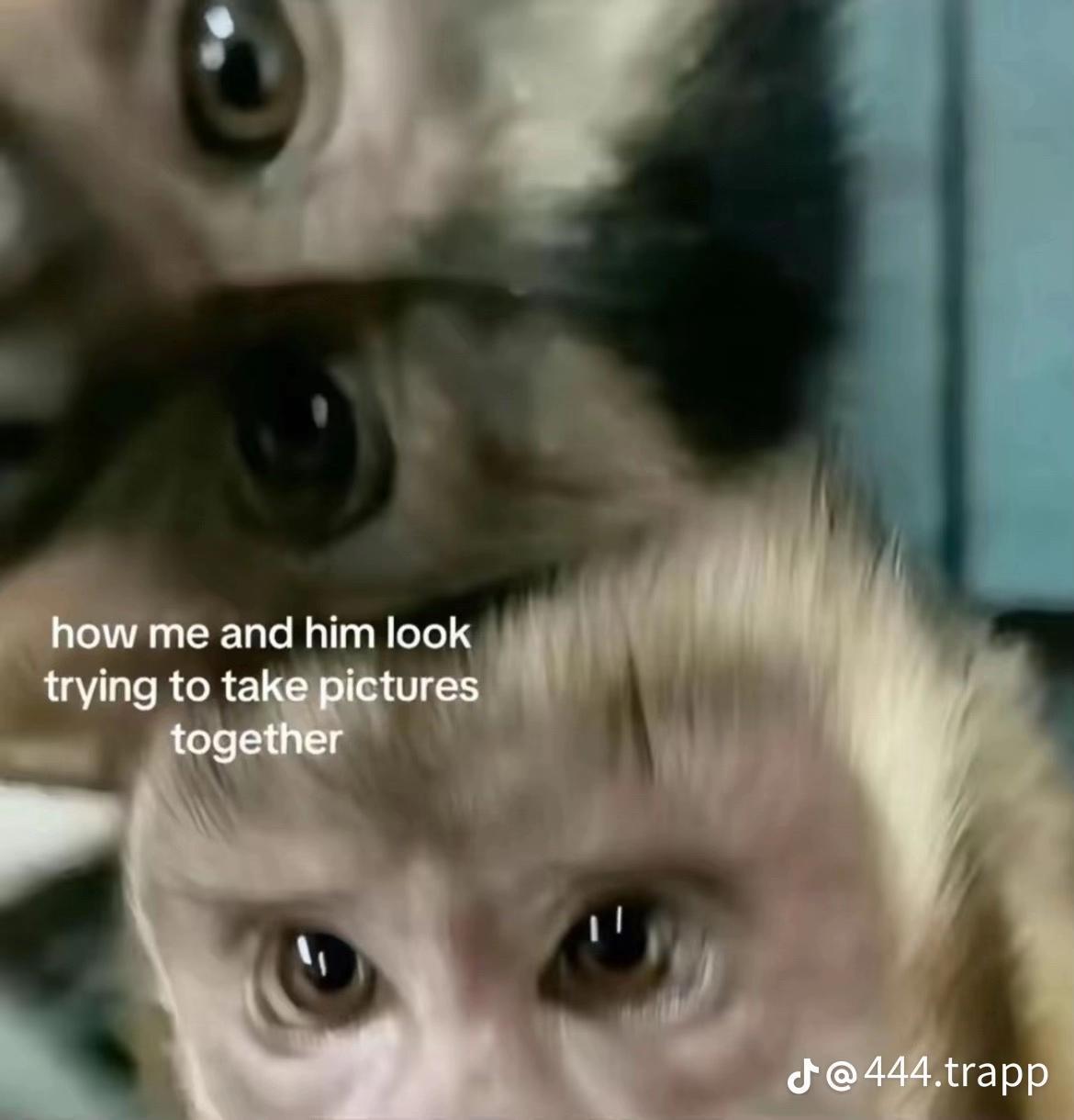 @SIM🦁