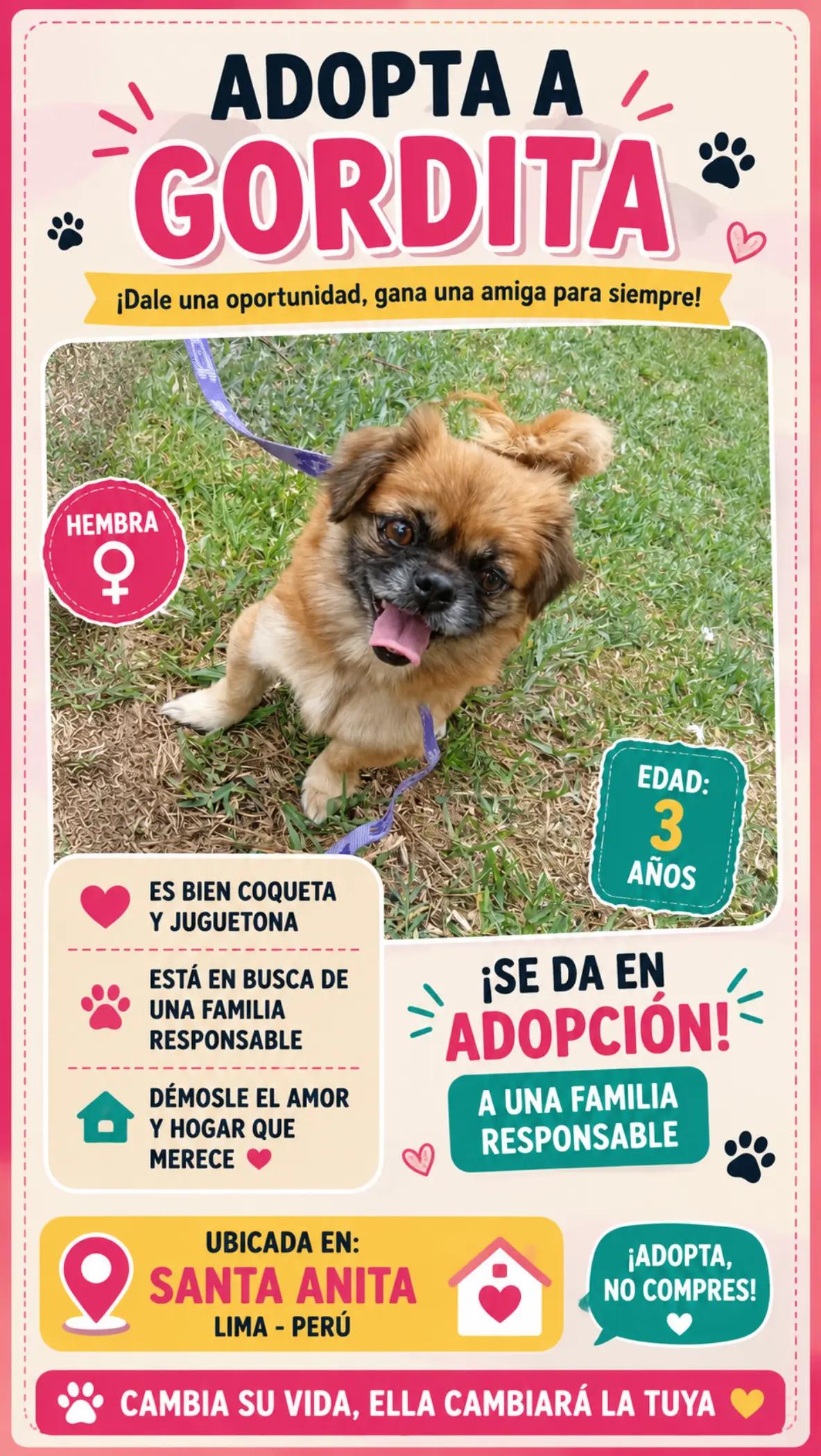 @Perritos Voladores