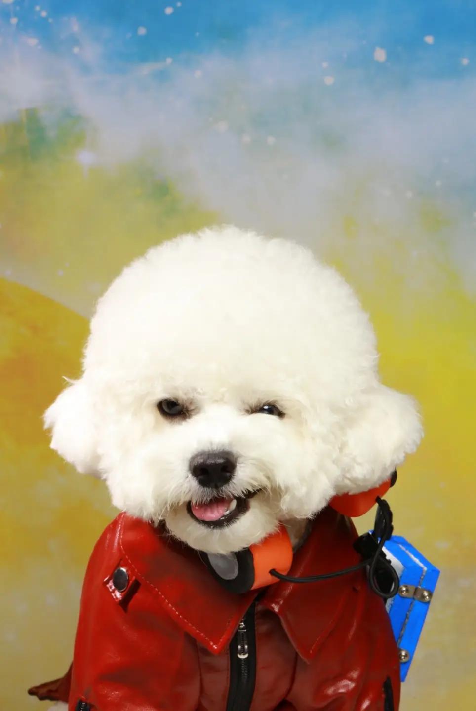 @식빵