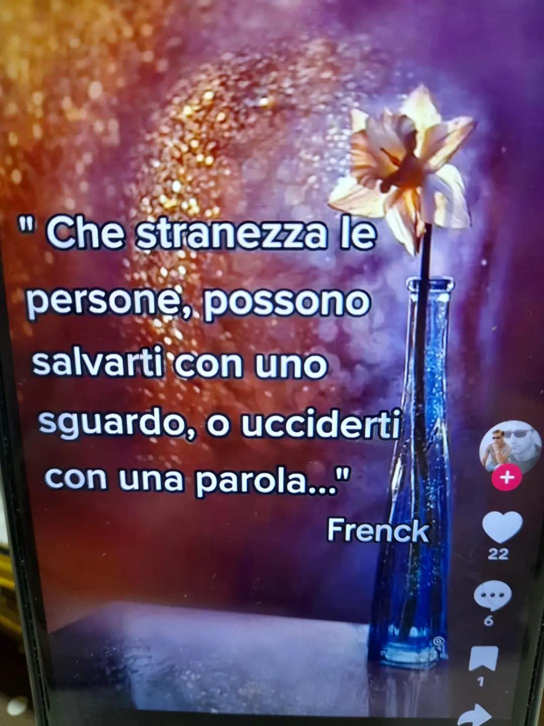 @🔥 la volpe rossa 🔥