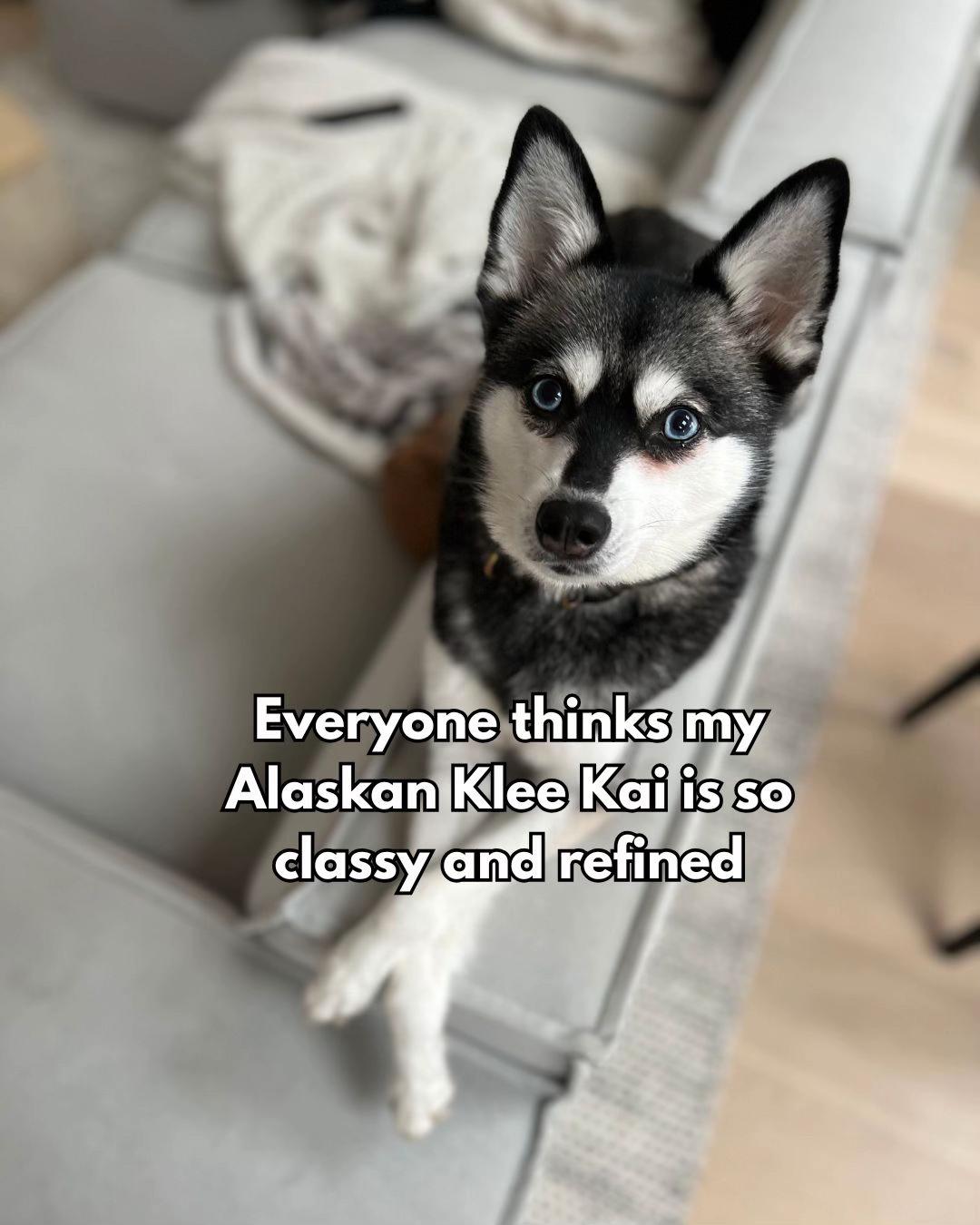@lifewithkleekai