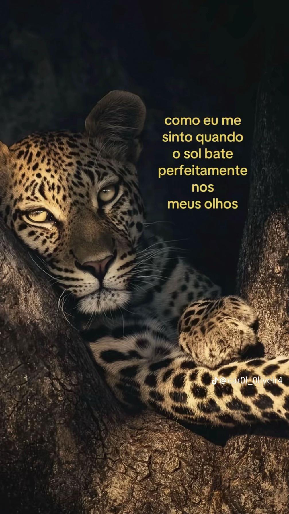 @Maria Eduarda Soares