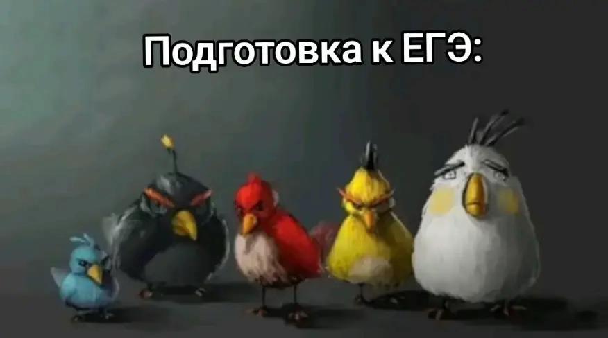 @Асиф Агаев / Биология ЕГЭ