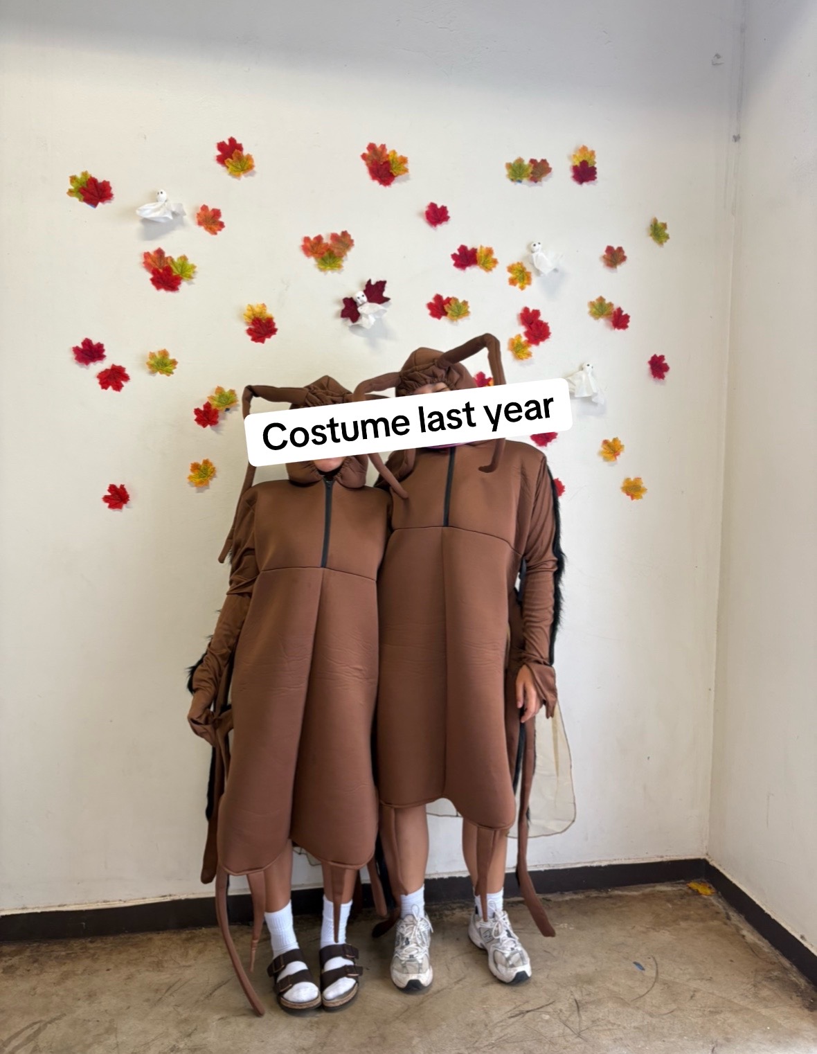 @dodobirdle