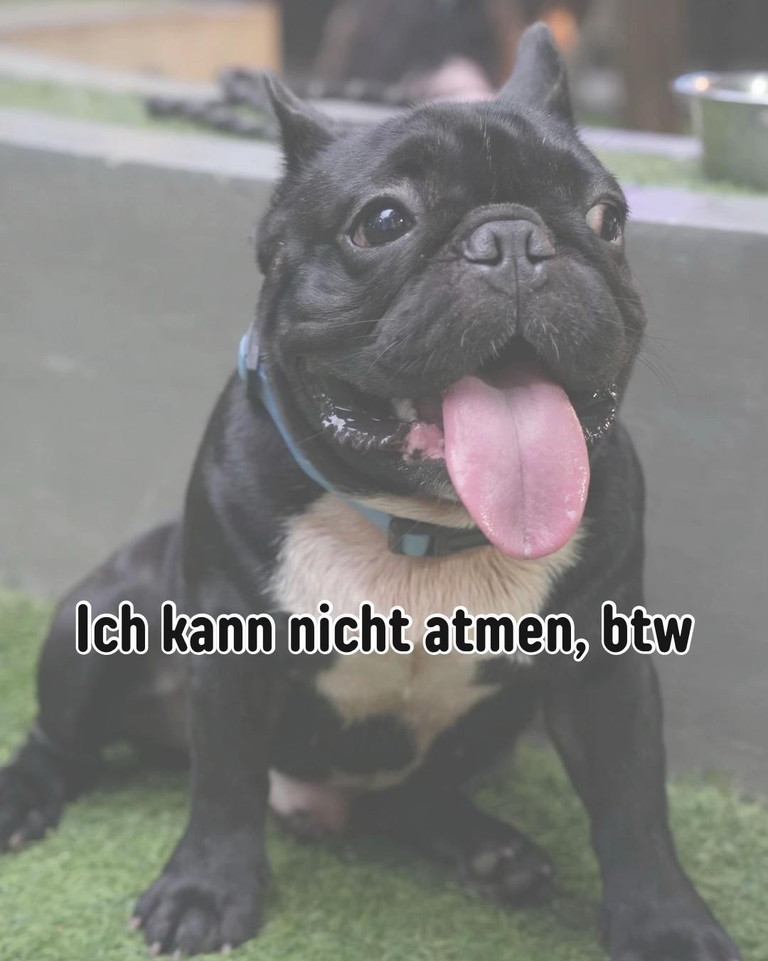 @Petch.Community