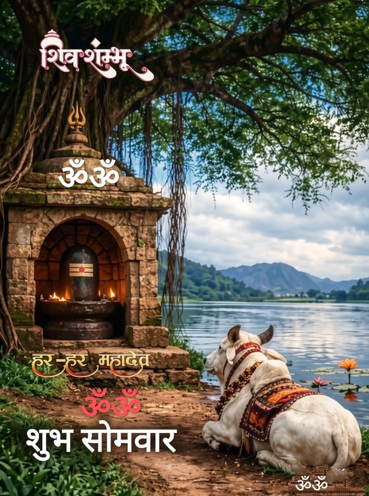 @dharmishta06