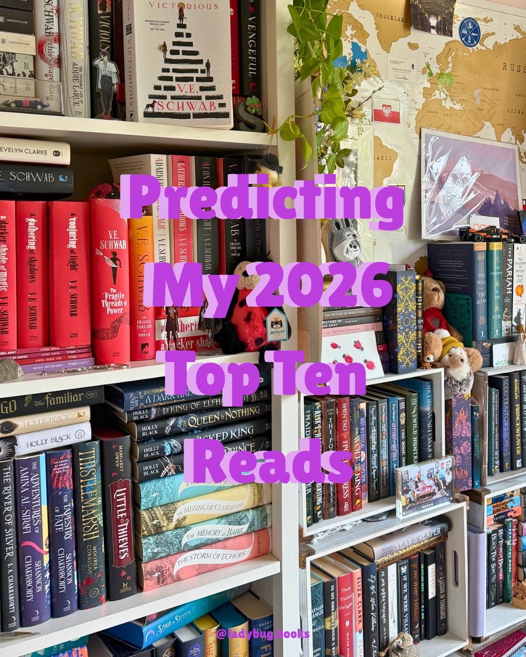 @Ladybug.books | Samantha