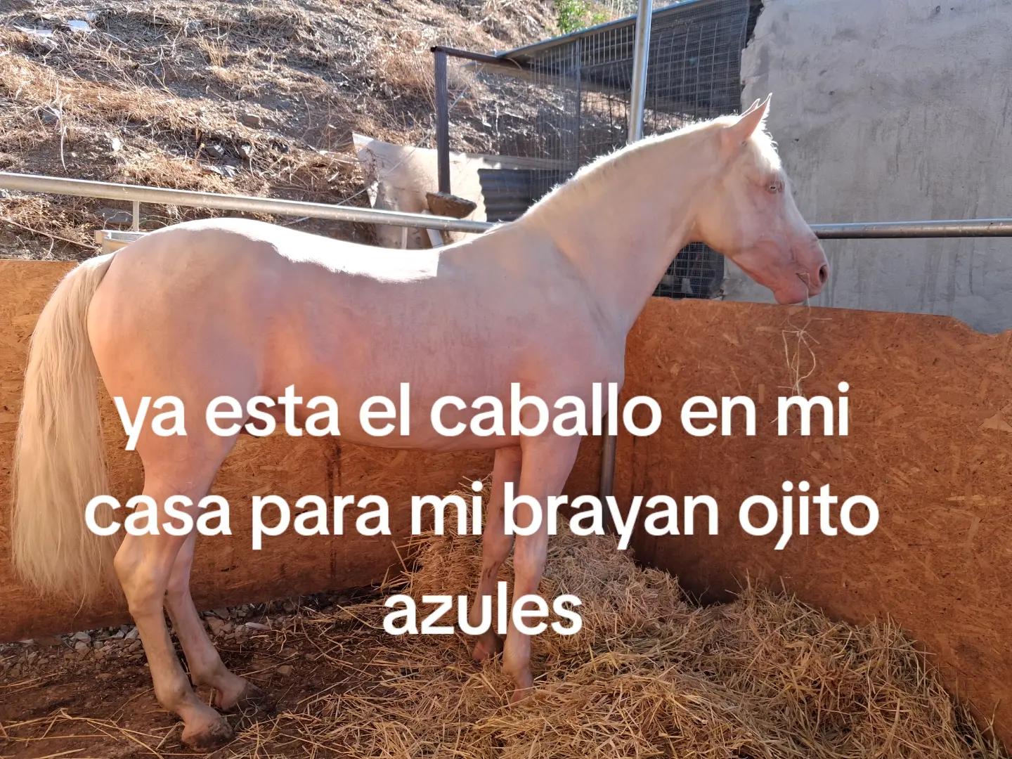 @Fernando Cristales A