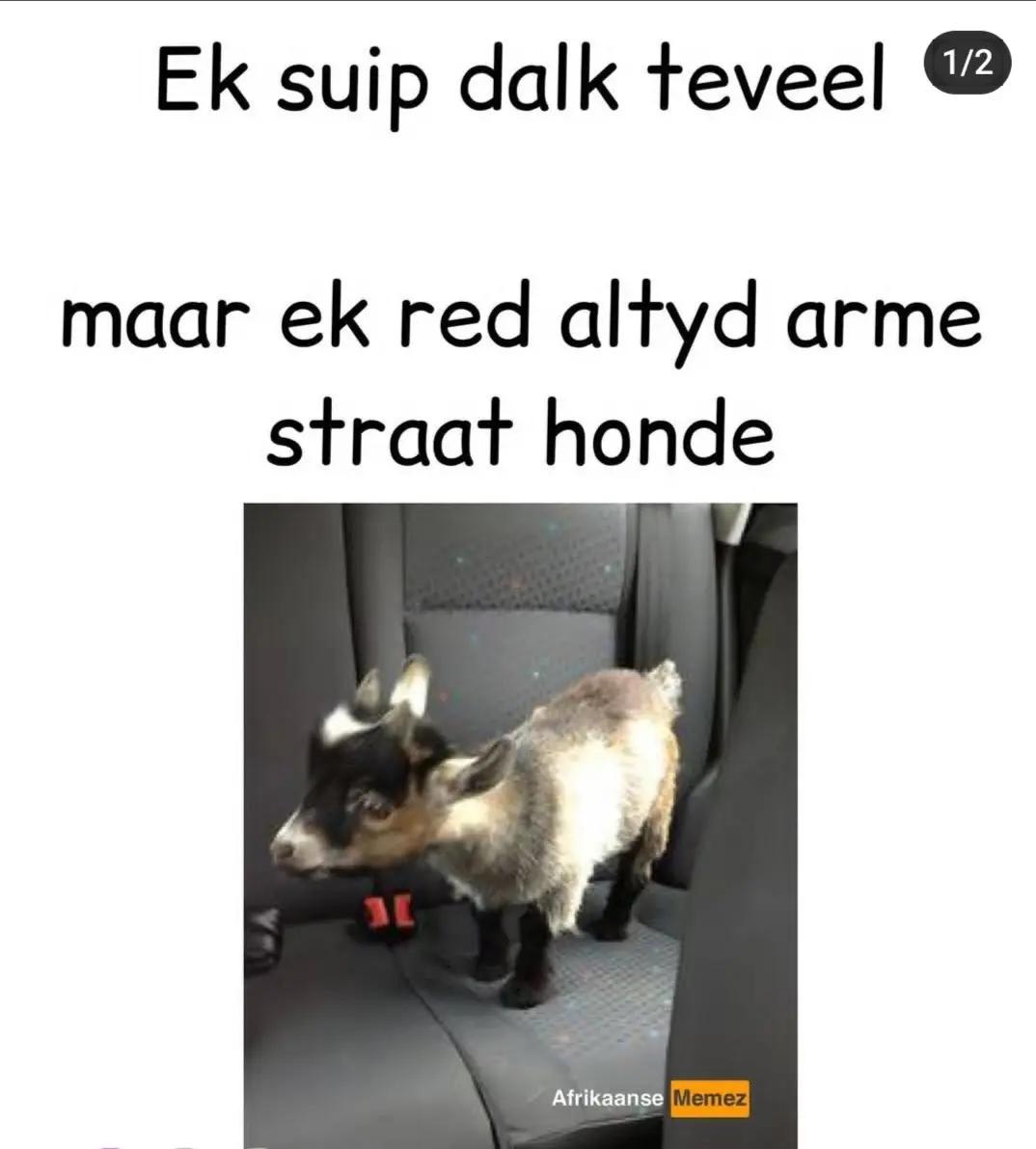 @Jaques Fourie