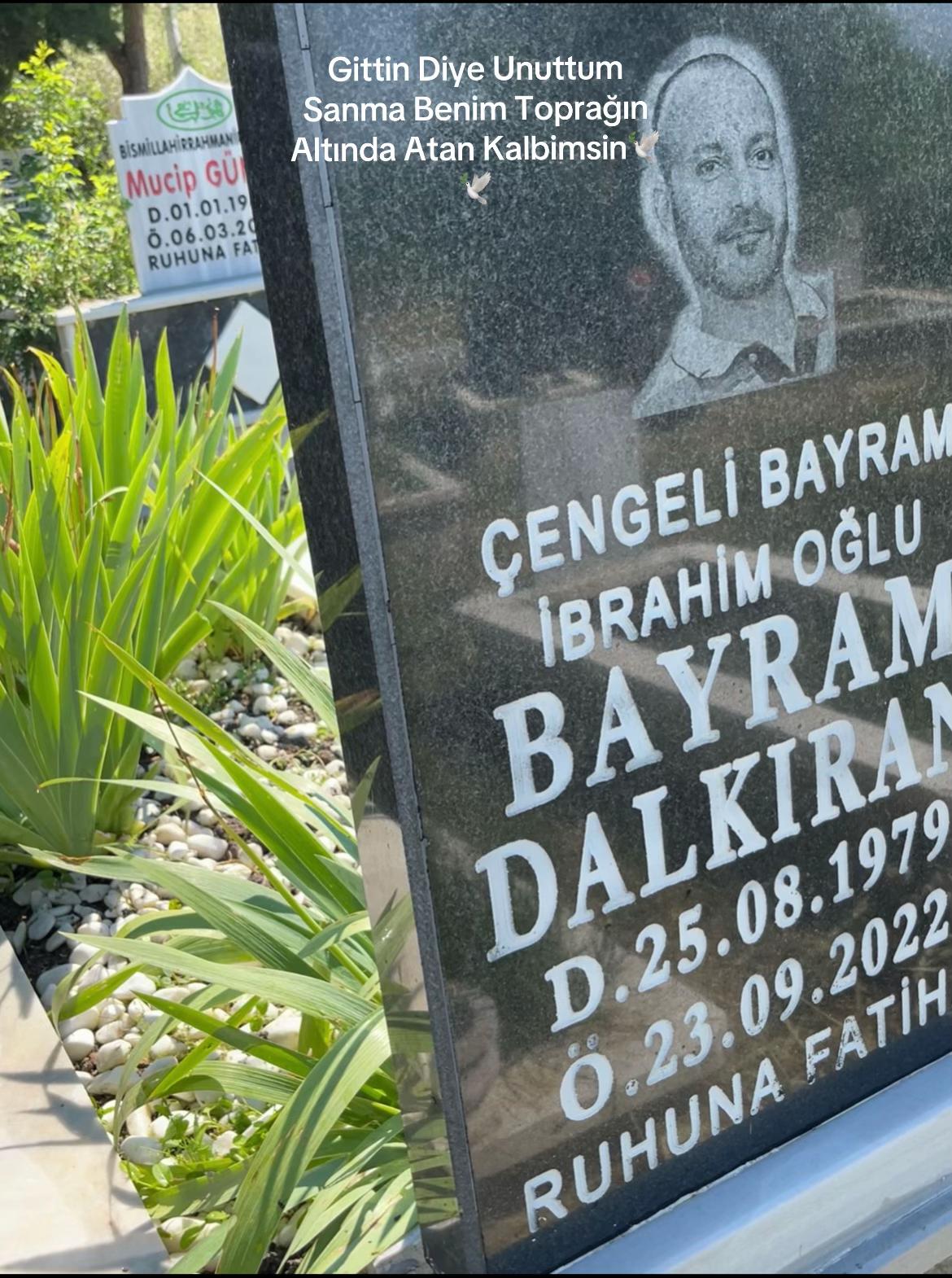 @sezginderyam