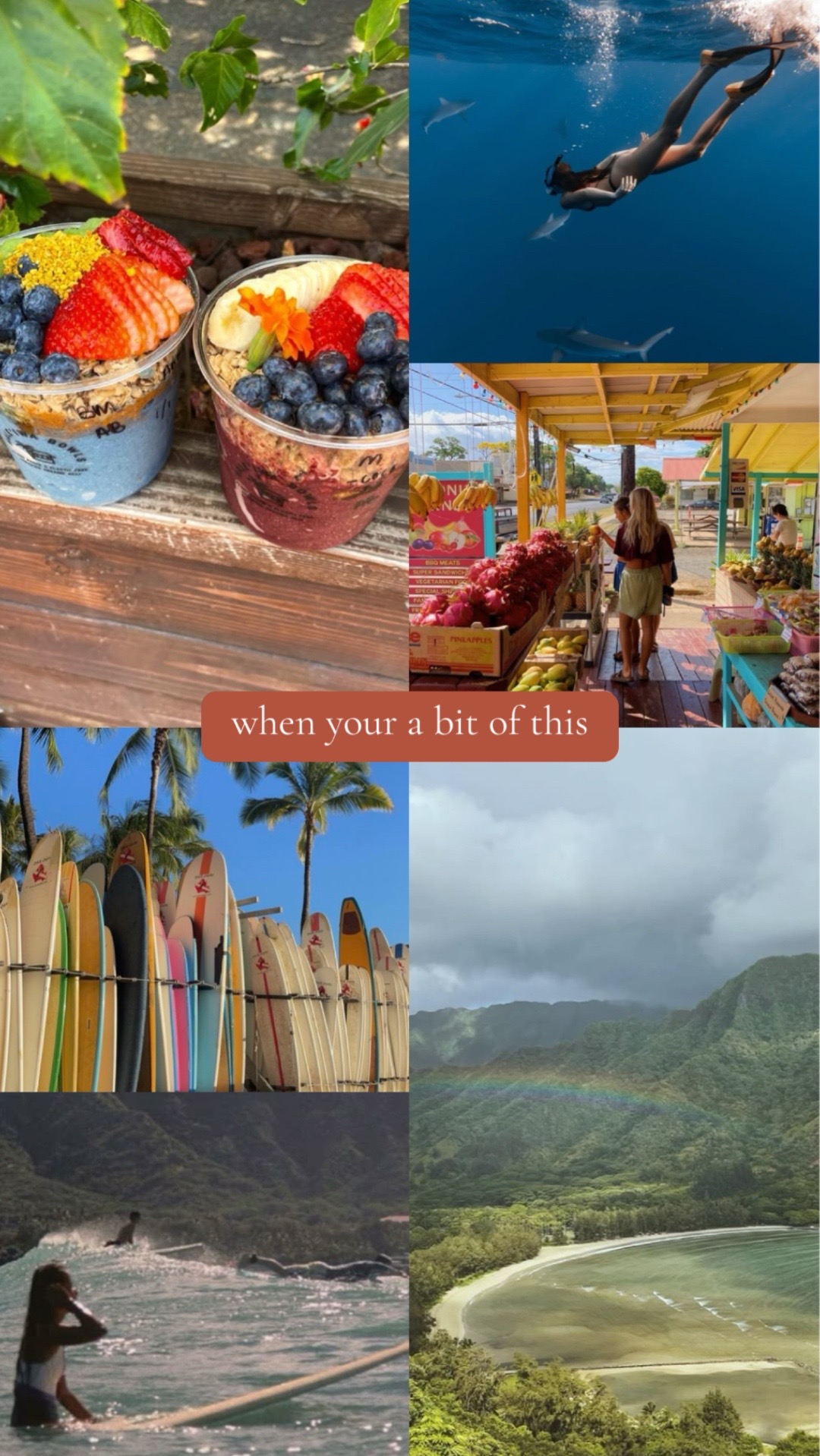 @alohacowboyco