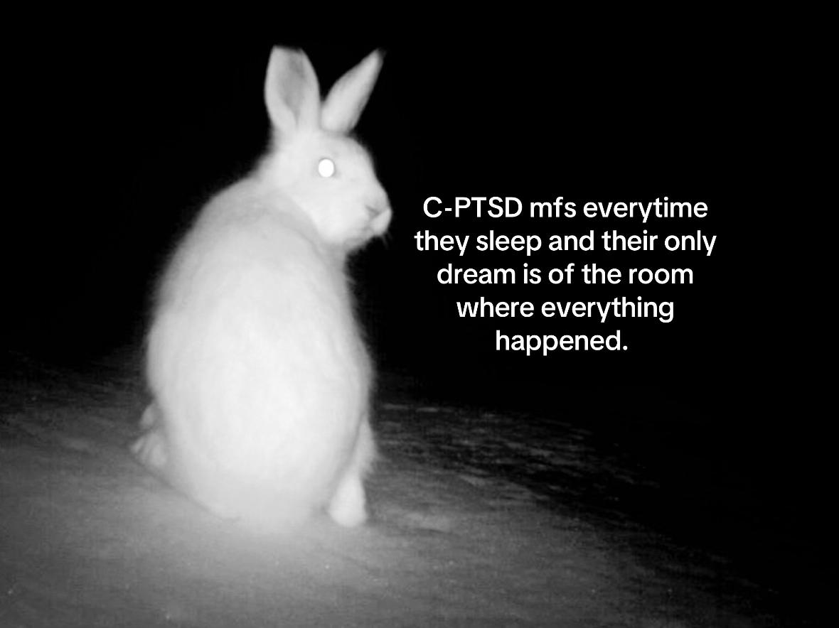 @𝒲𝖾𝗇𝖽𝗒 ˖⋆࿐໋