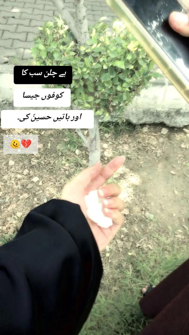@عریشہ ملک 👑