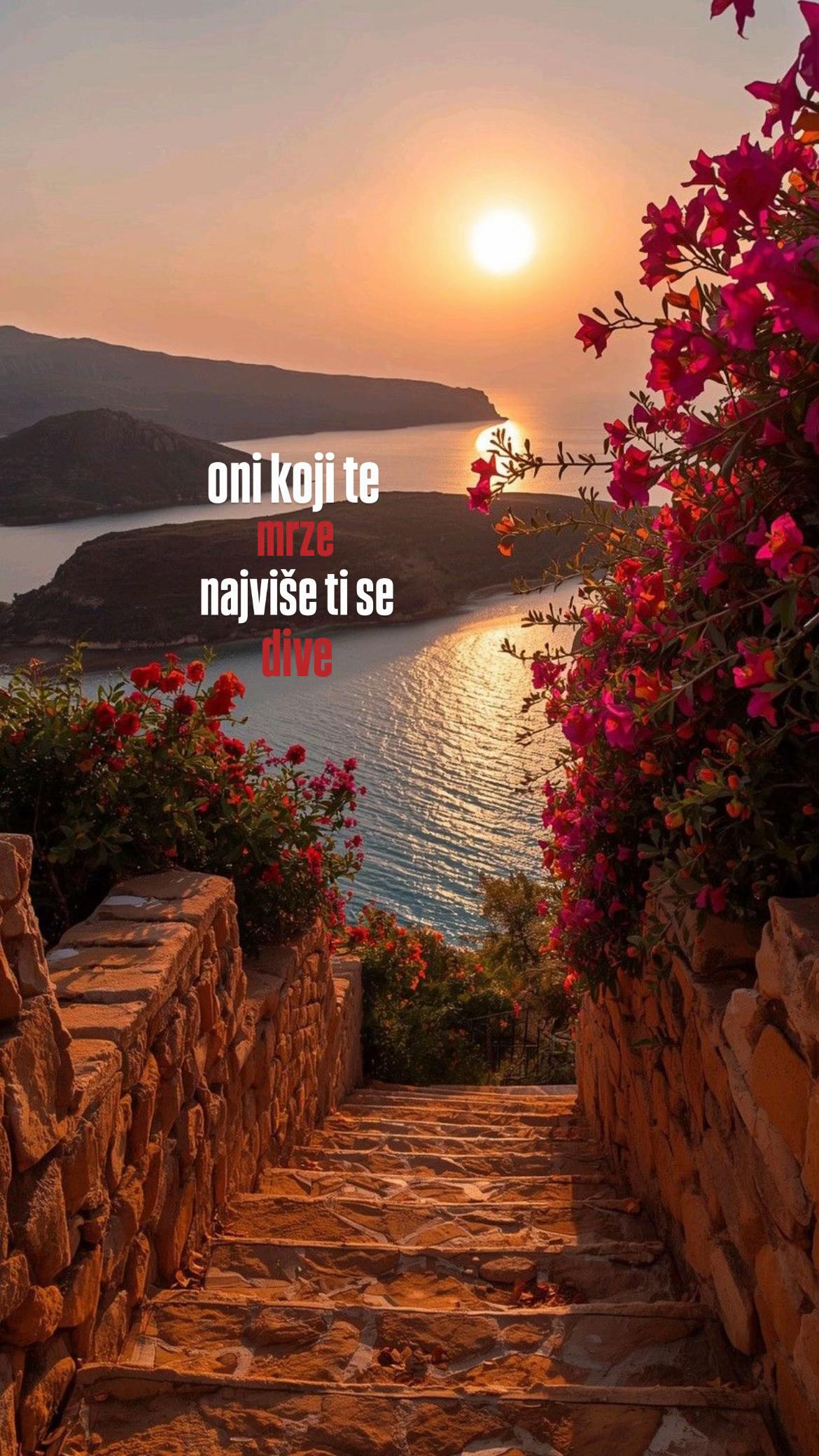 @𝒹𝒿ℯ𝓁𝒾𝒸𝒶