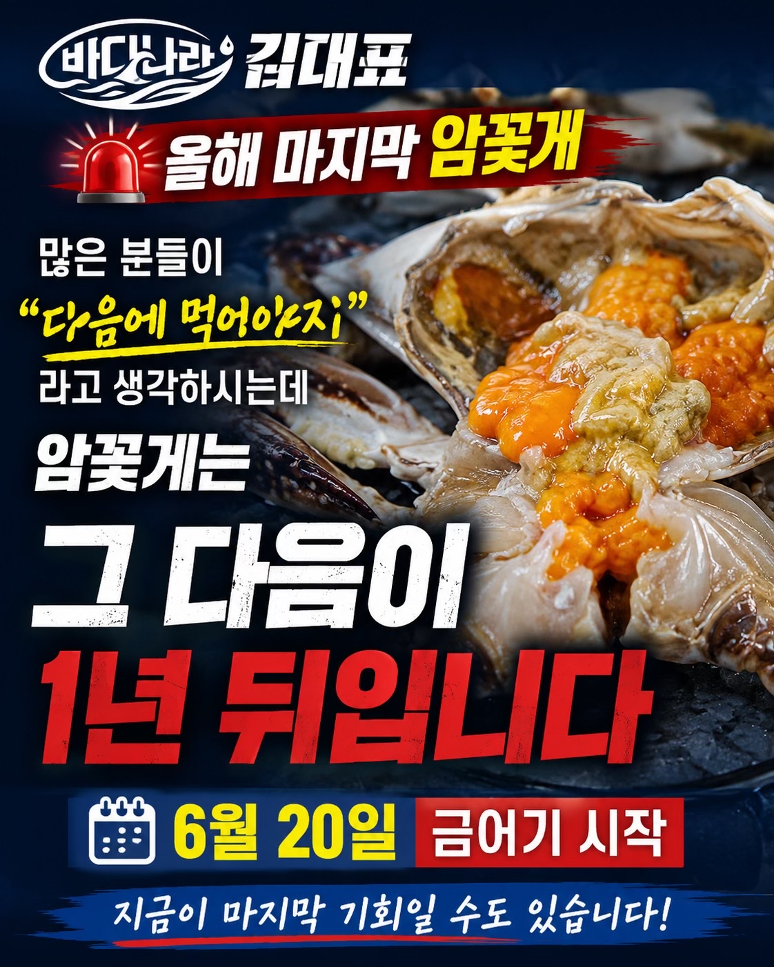@바다나라김대표