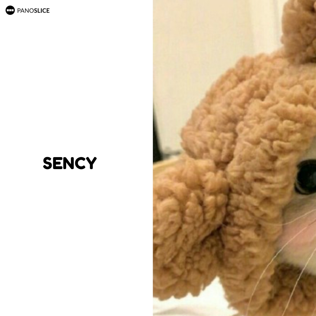 @Lirik lagu
