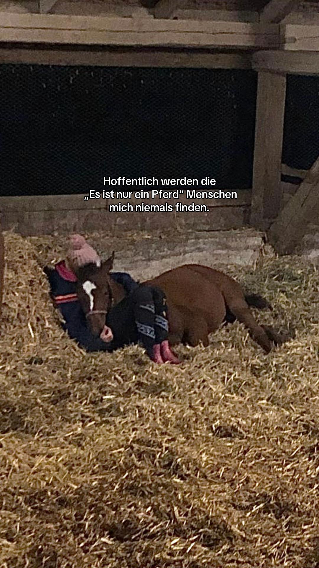 @Sarah Philine | Para-Reitsport