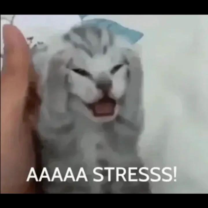 @scarletXclips