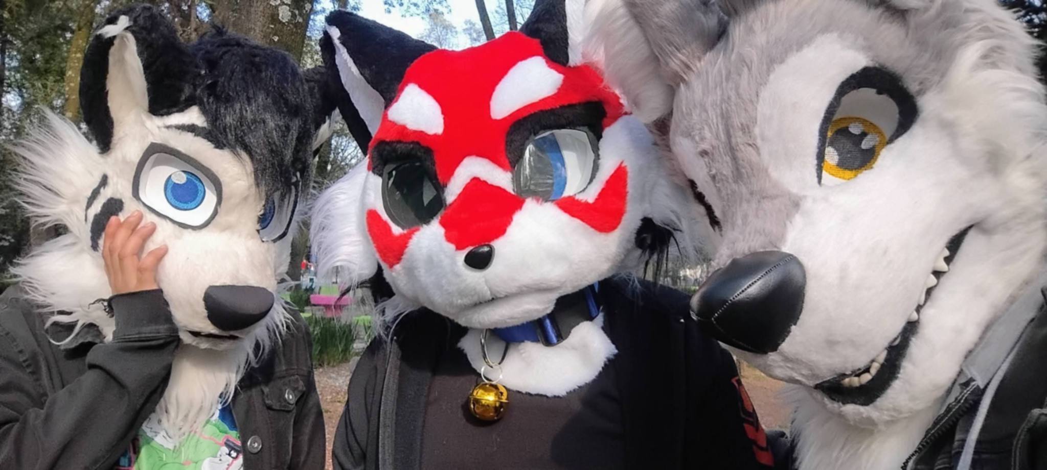 @DYN WOLF