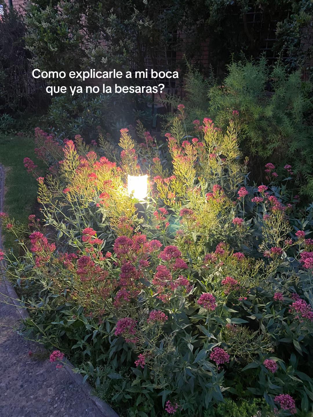 @(Yatra’s versión) 💖✨