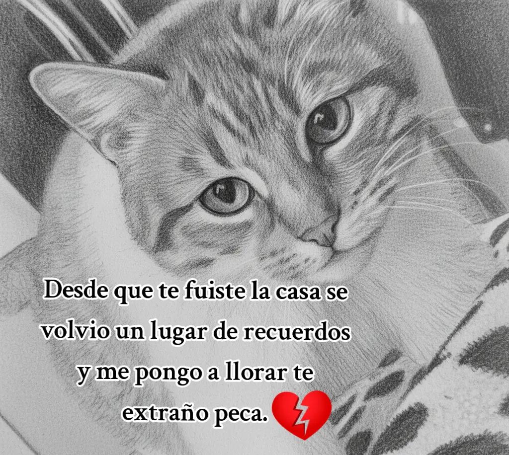 @yuliocesar029