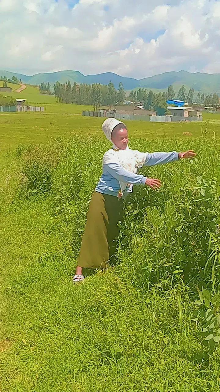 @sharifaa