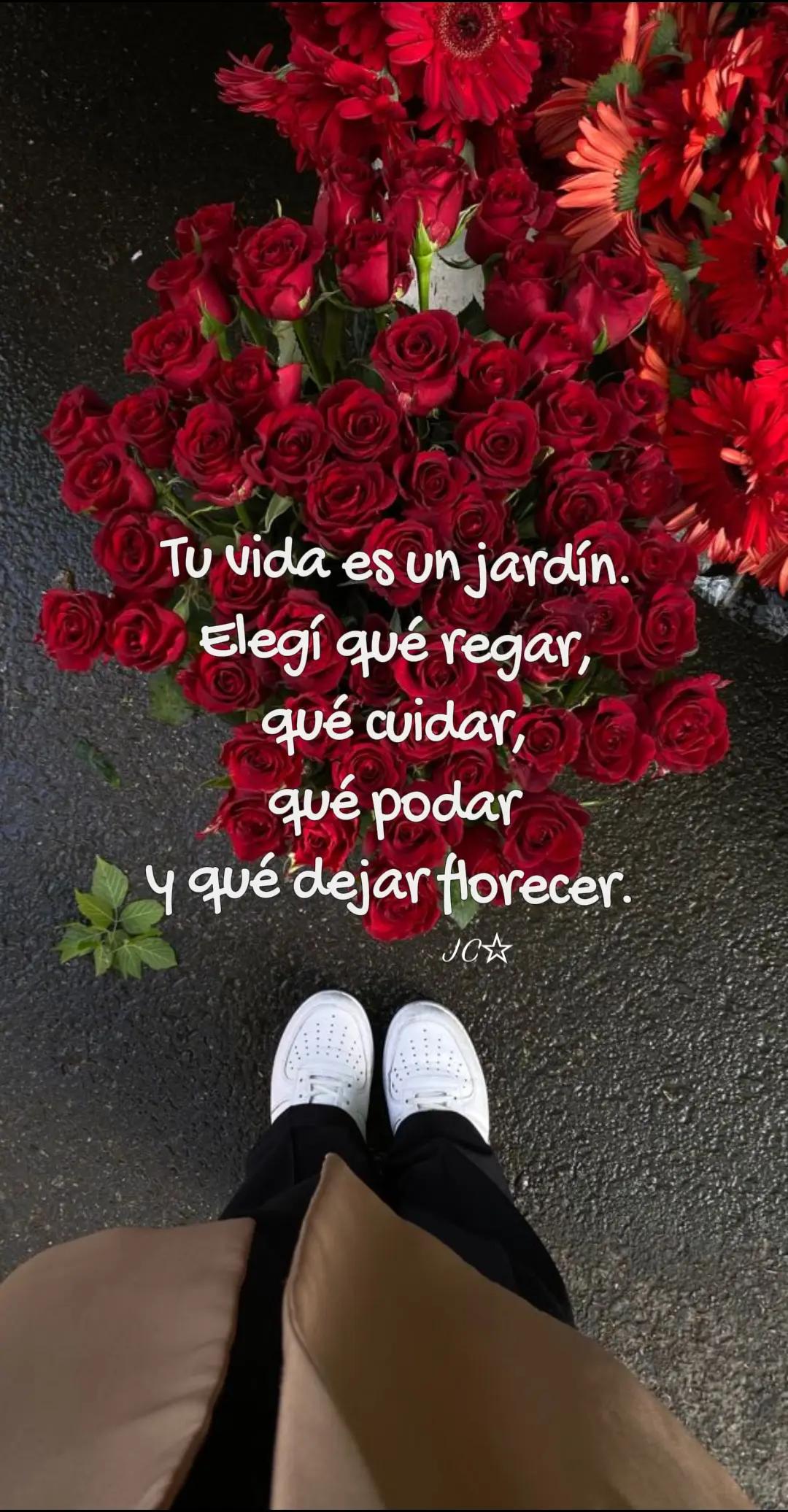 @Juany Canelas