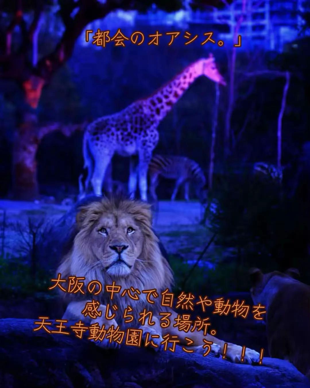 @闇夜の夜更かしバリトン