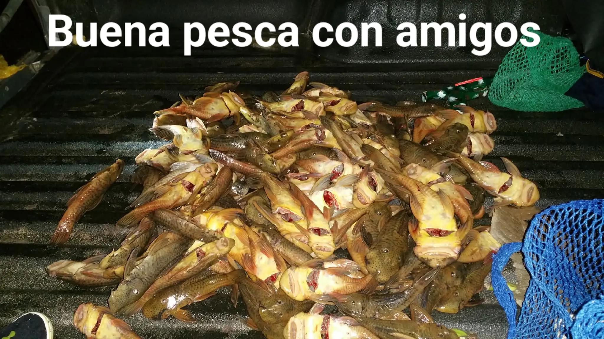 @Hakan