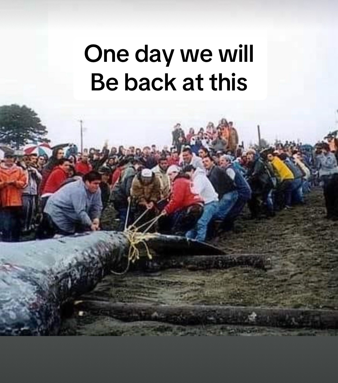 @BigSalmonMike