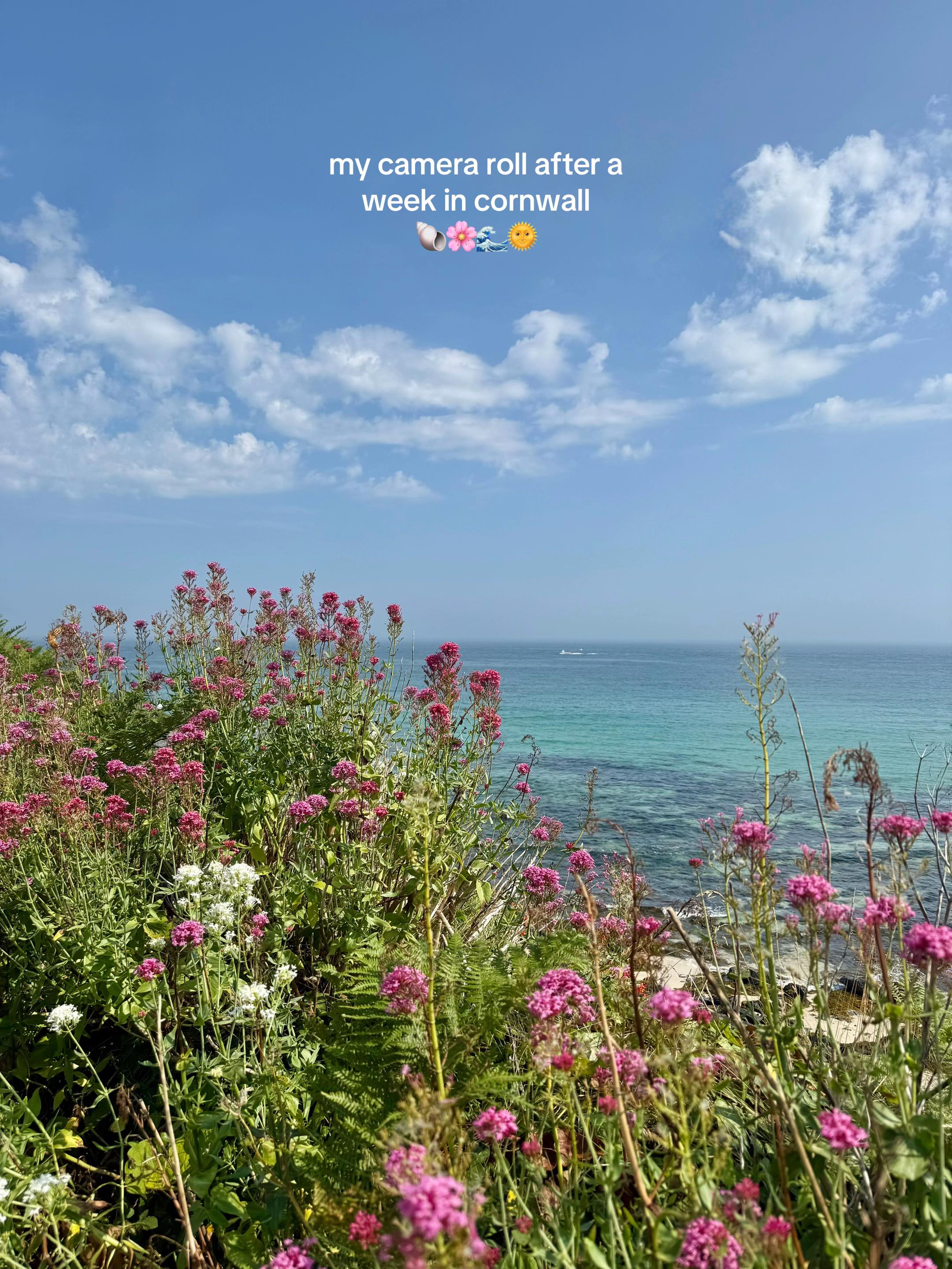 @Izzy Collingridge📖🌞🦋