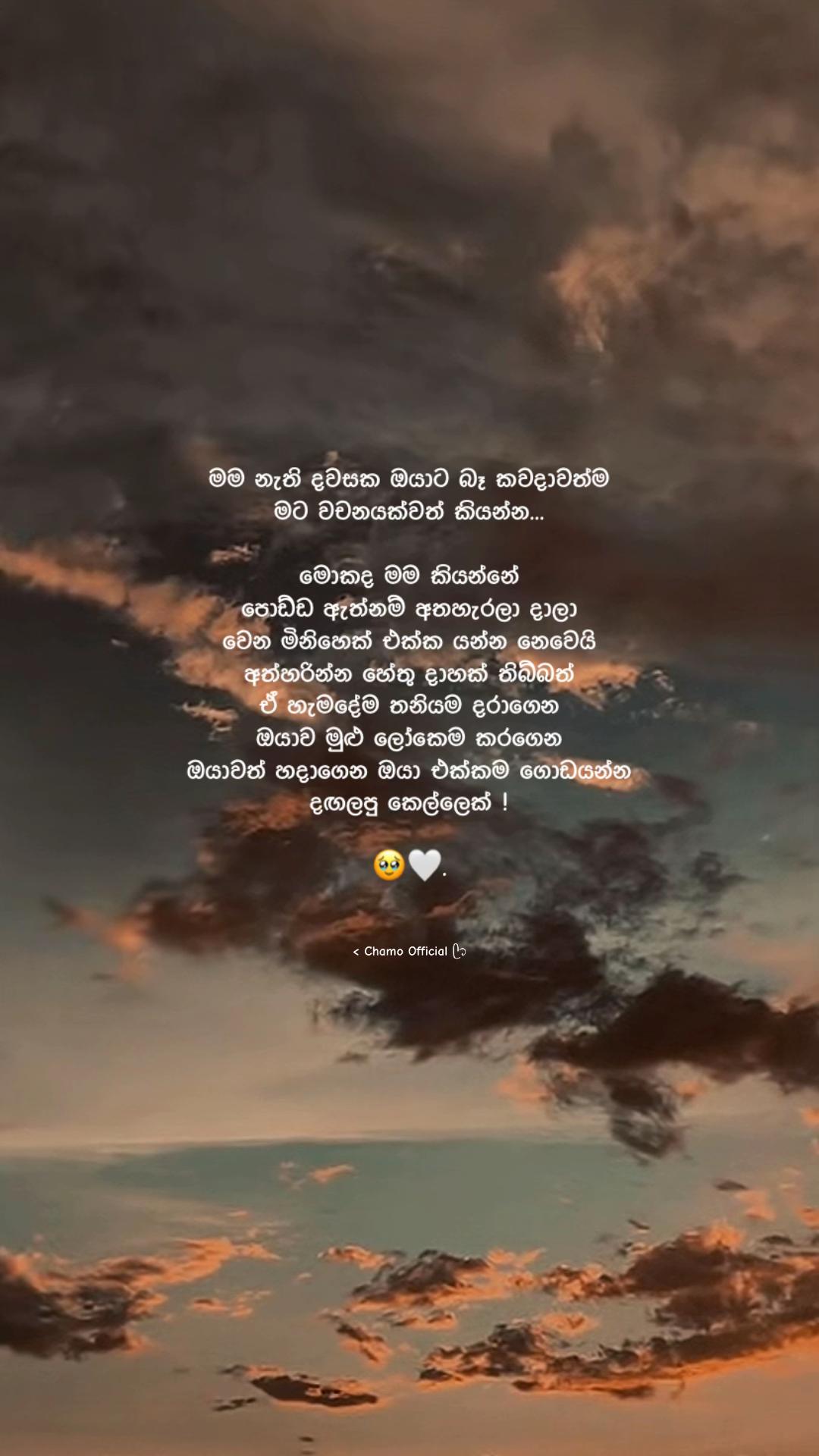 @< 𝐂𝐡𝐚𝐦𝐨 ᥫ᭡