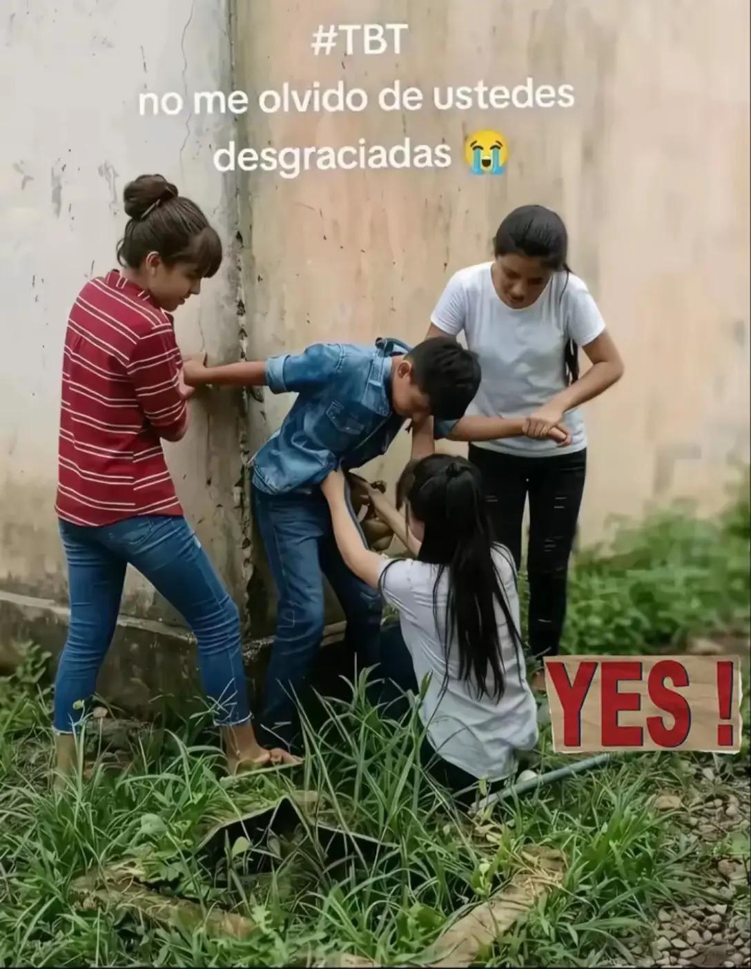 @๐๐๐๐๐๐๐
๐๐ธ๏ธ