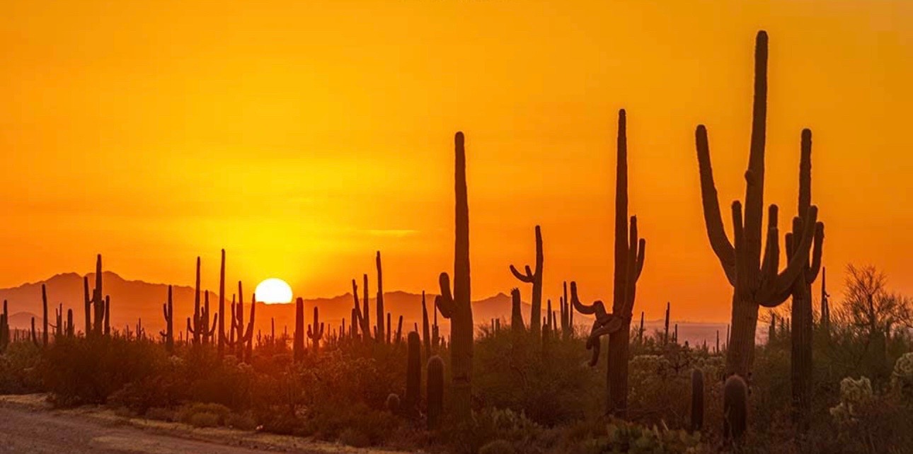 @☀️🌵Arizona 🌵 ☀️