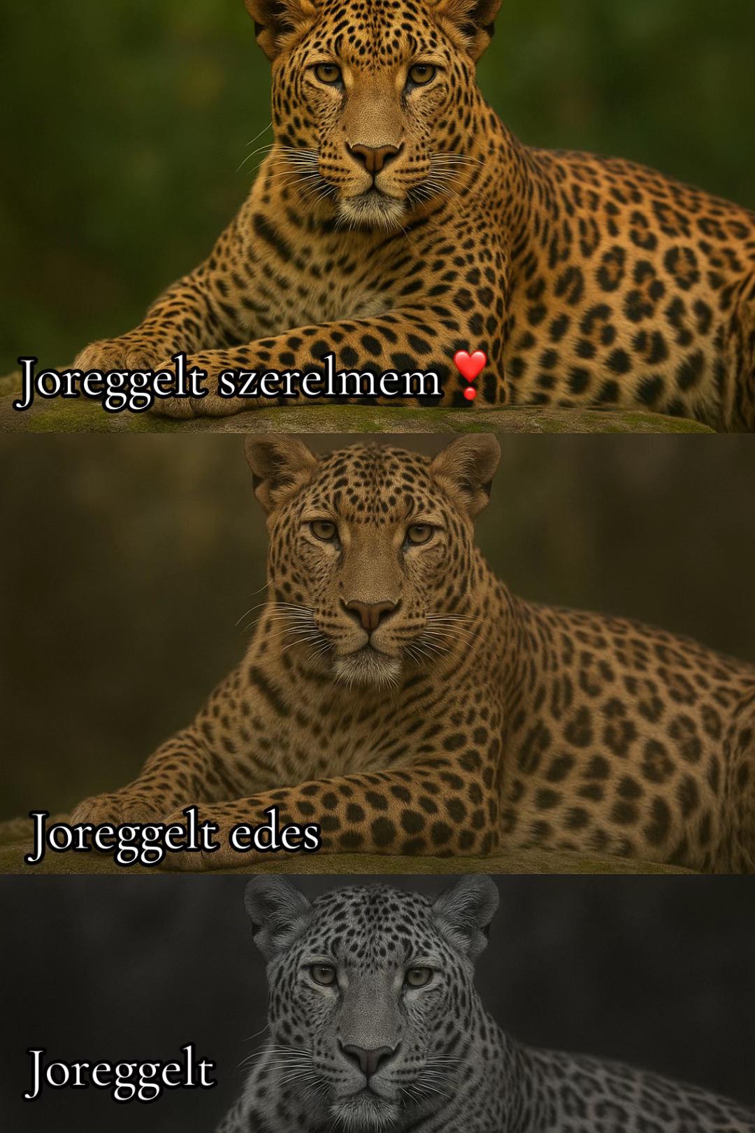 @🦋