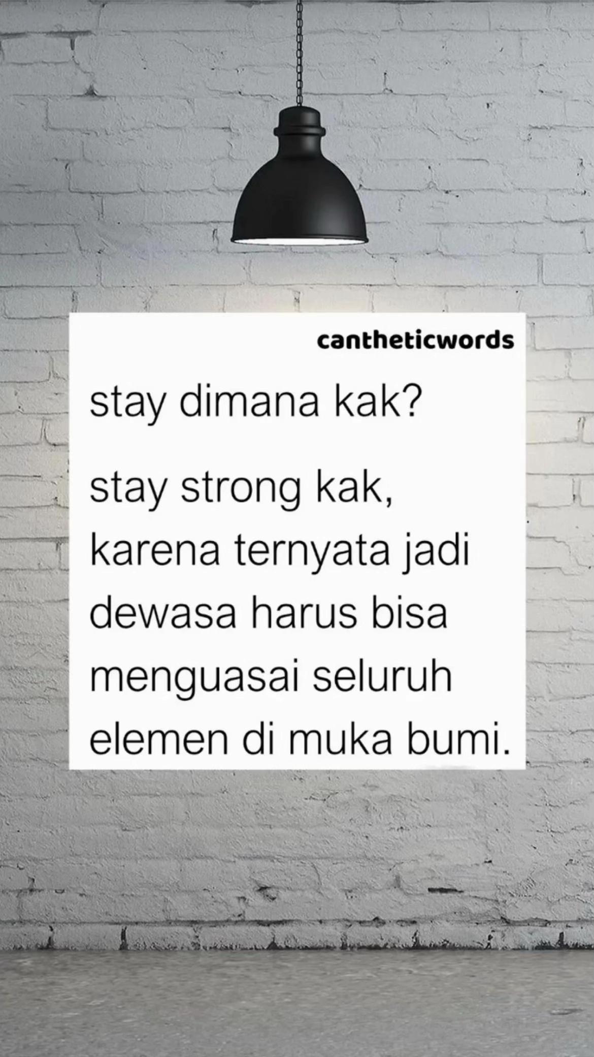 @๐๐๐ถ๐๐๐ถ๐๐พโฏโฏ