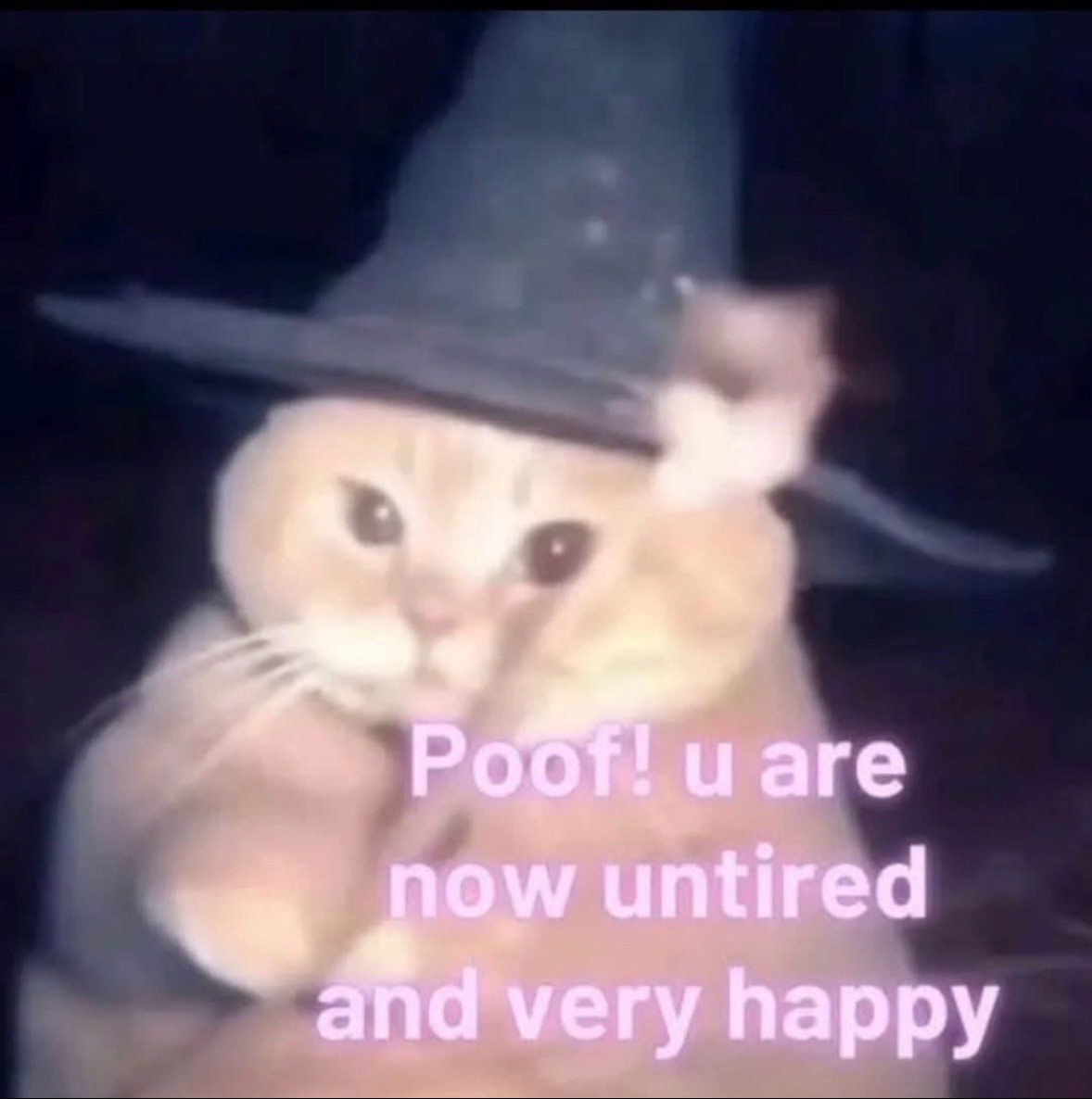 @Bratcats