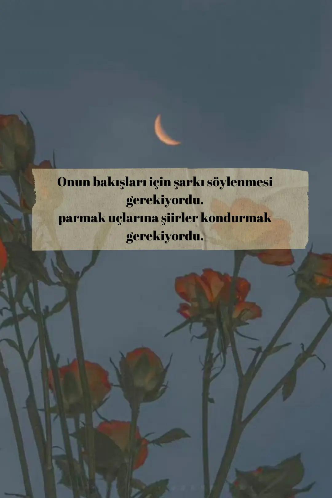 @Tuğba D.