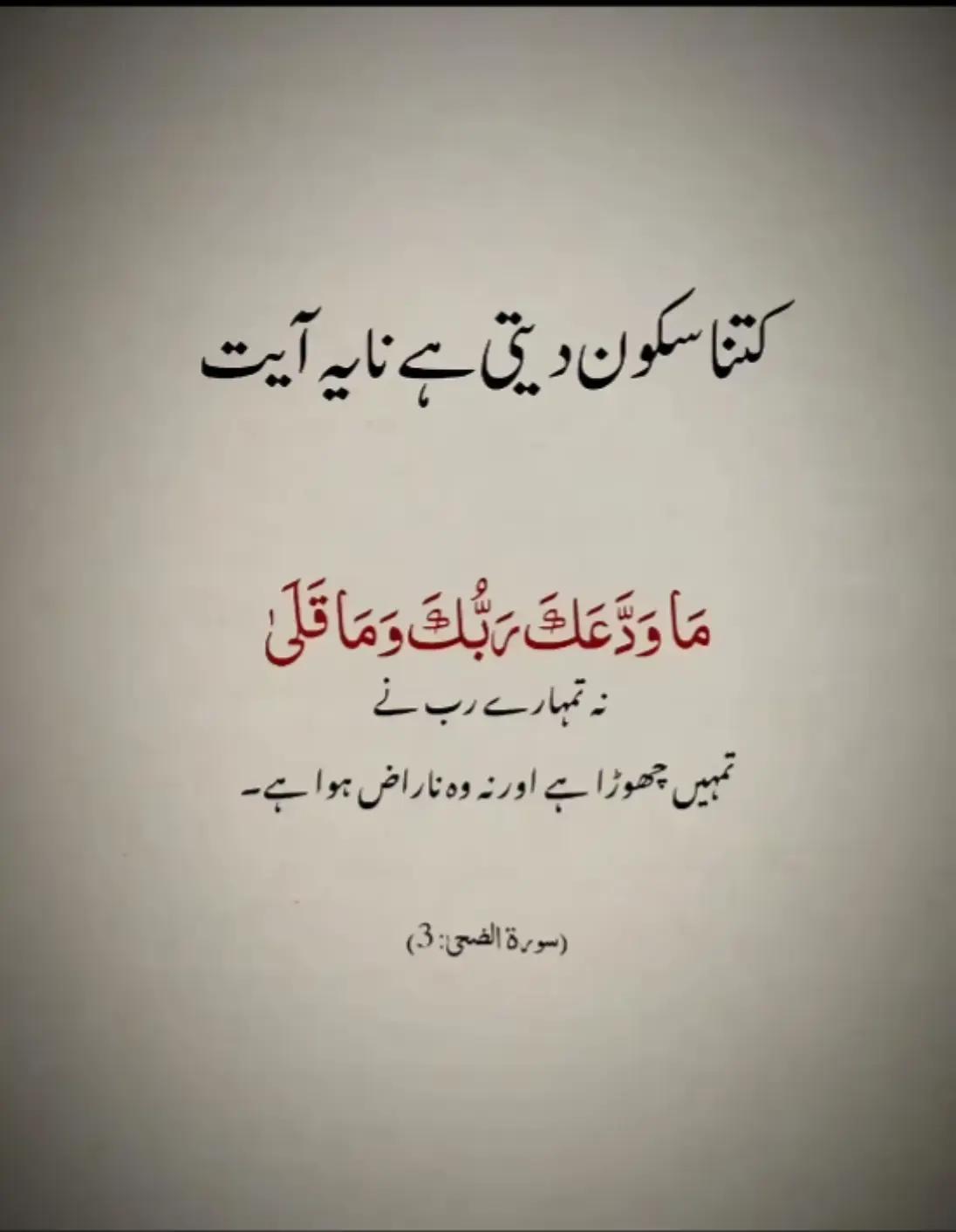 @manoabbasi💗