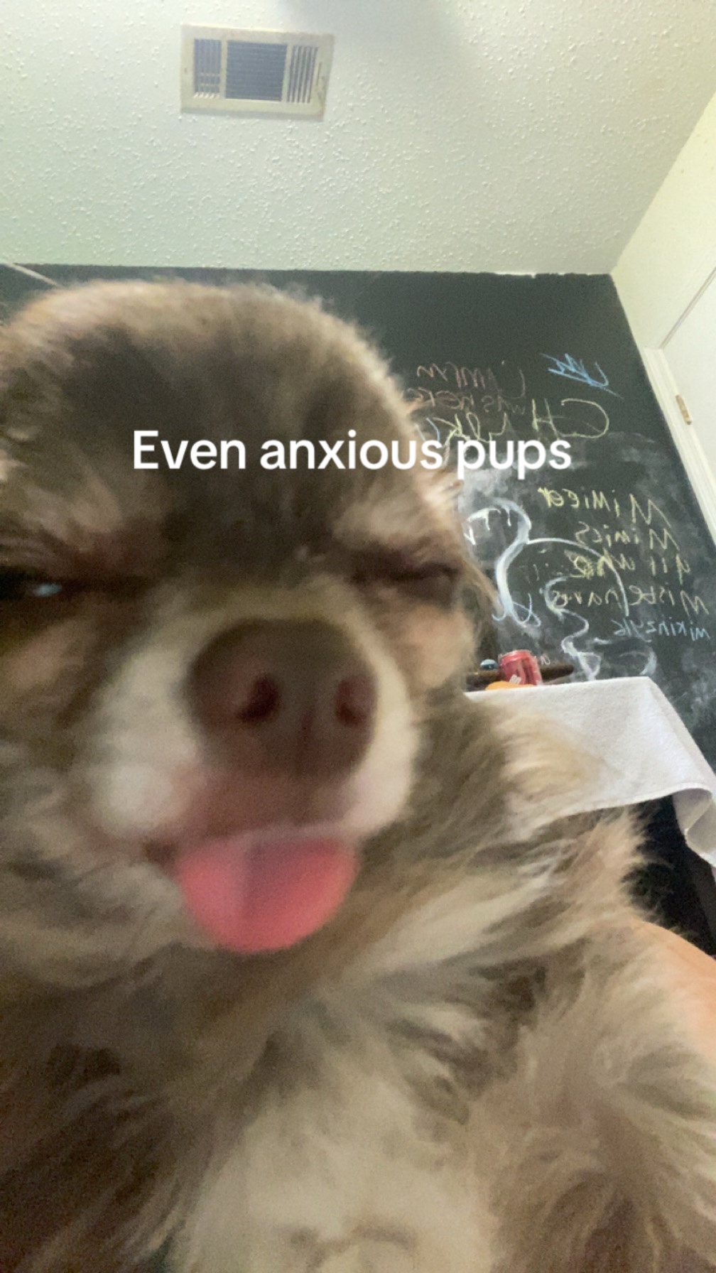 @Pb is my goat