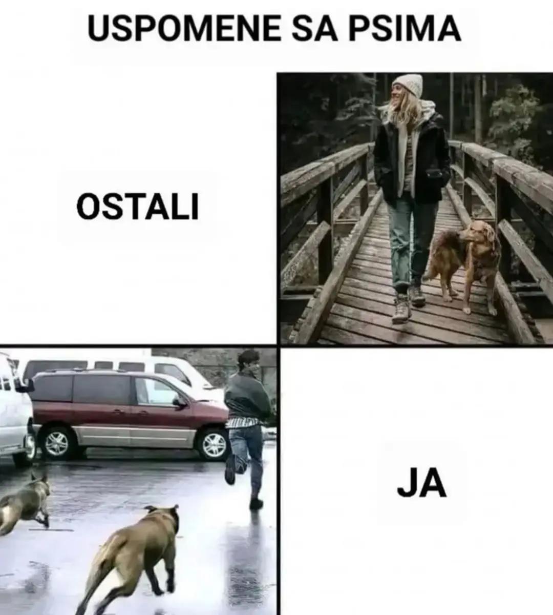 @Č🅰️R🅾️🅱️NJ🅰️K💰🇧🇦🇩🇪💰