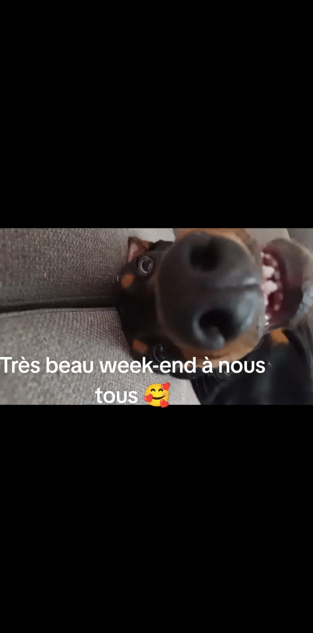 @Dj_Aniballe